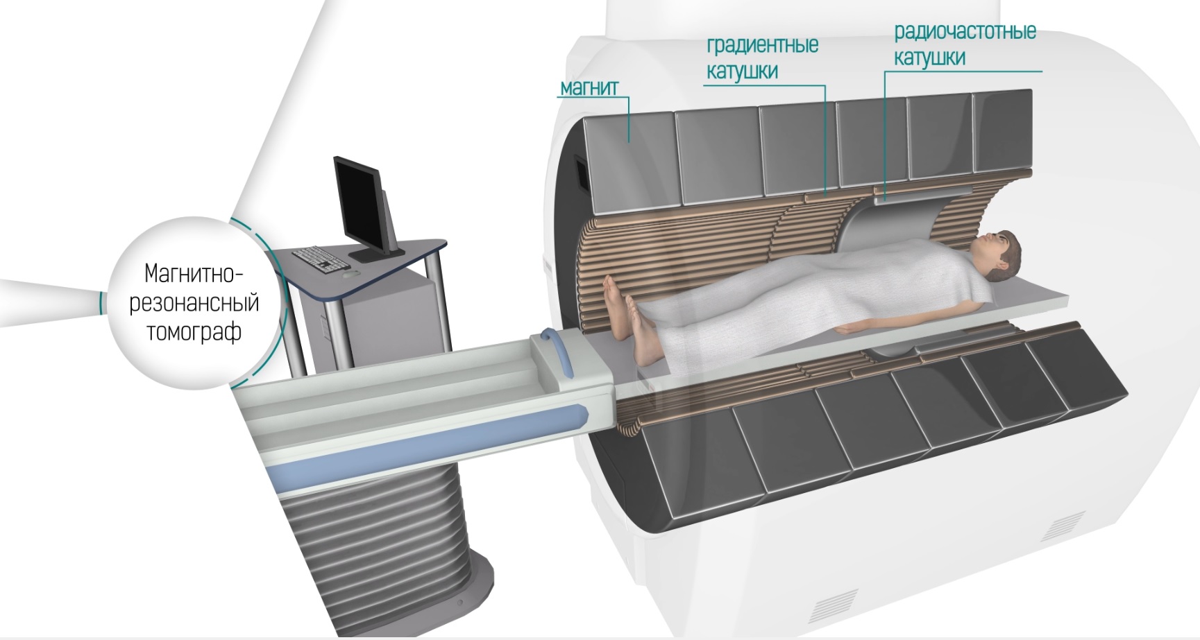 Работа мрт. Магнитно резонансный томограф строение. Строение аппарата мрт.